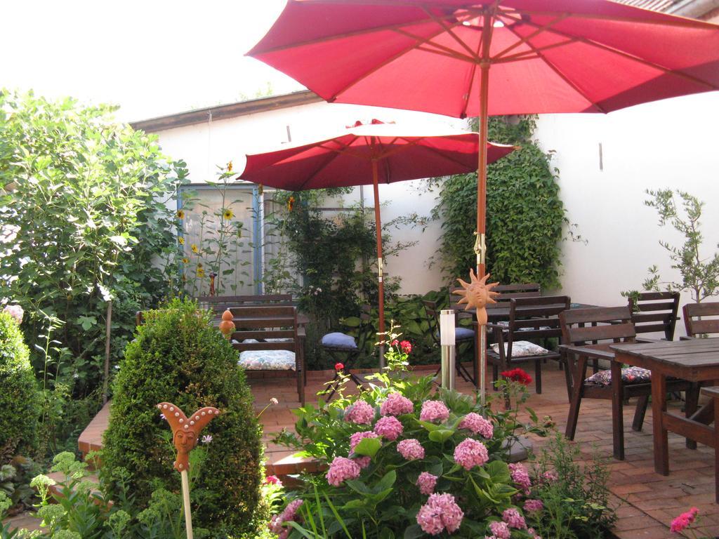 Stieglerhof Kg -Apartments Illmitz- Luaran gambar